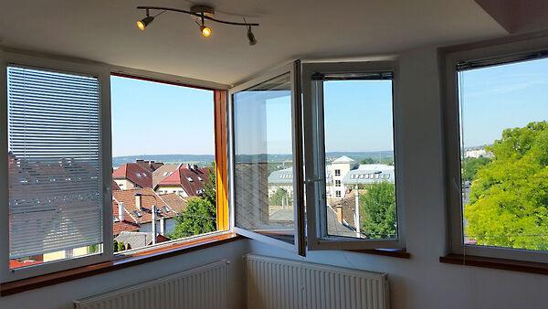 Nefelejcs, Budaörs képe