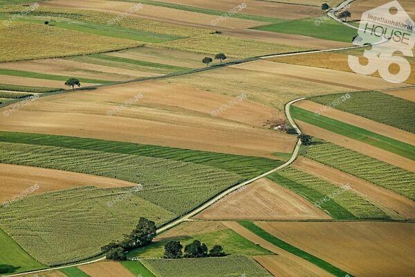 Bogdán, Csemő képe