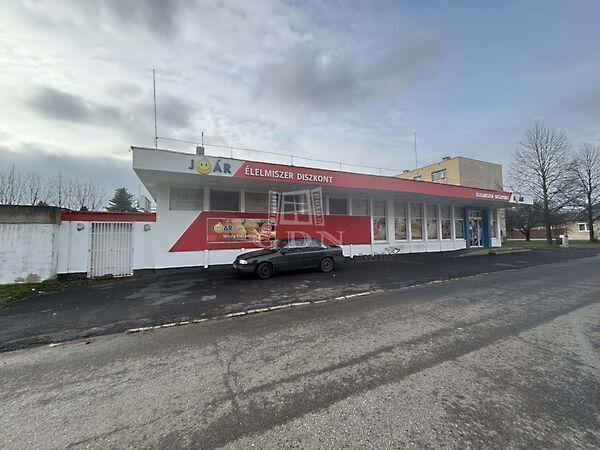 Bartók Béla, Körmend képe