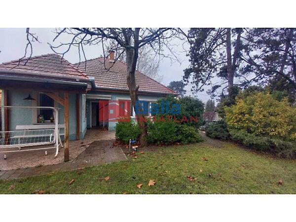 Alsógöd, Göd képe