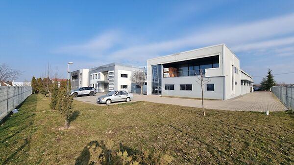 Csucskai, Székesfehérvár képe