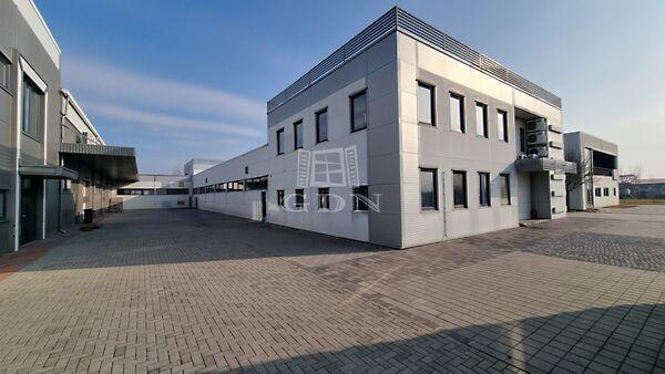 Csucskai, Székesfehérvár képe