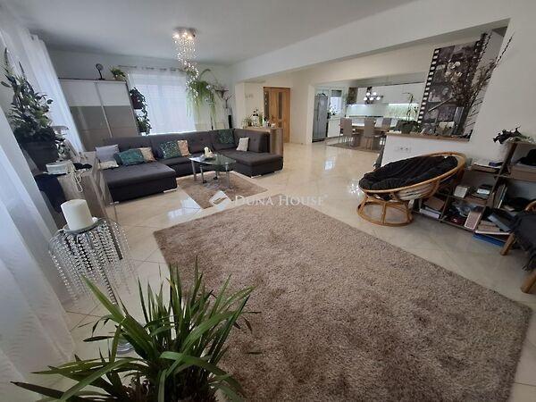 Kiskunfélegyháza képe