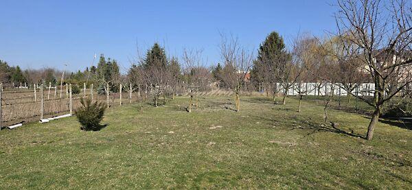 Győrújbarát képe