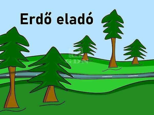 Telepített erdő, Hajdúnánás képe