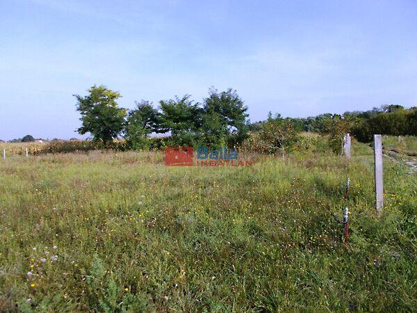 Dunasor, Szigetcsép képe