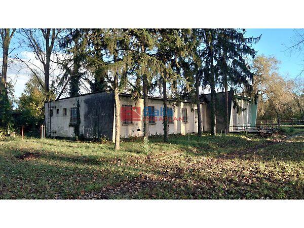 Chernel J., Gárdony képe