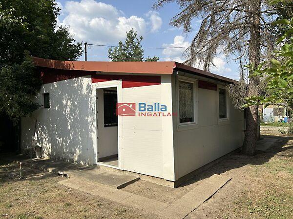 Nyírfa, Dömsöd képe