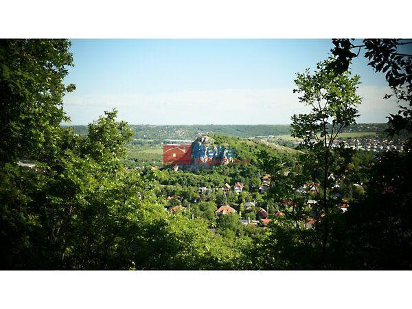 Csiki, Budaörs képe