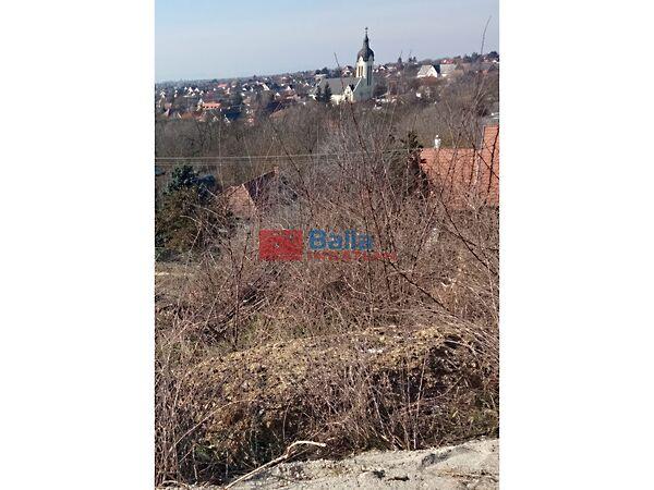 Madarász u., Kerepes képe