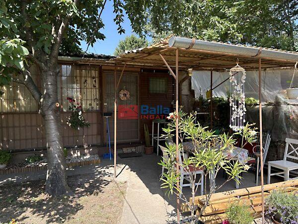 vizmelletti, Dömsöd képe