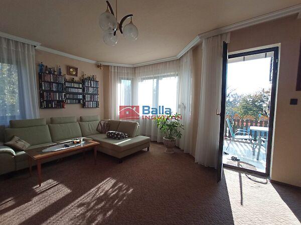 Szőlő, Csömör képe