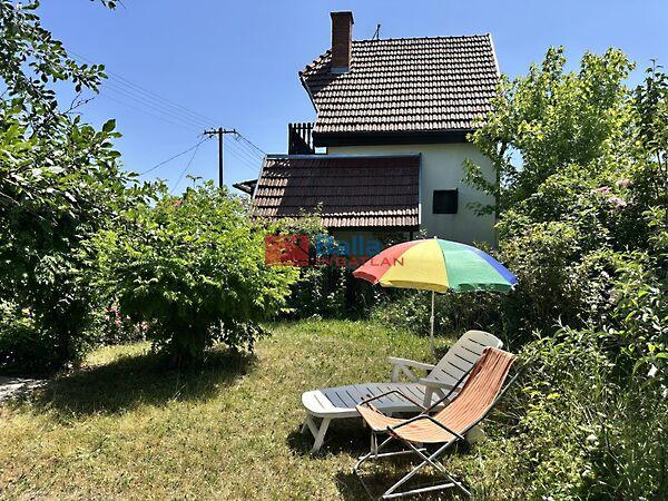 Csendes, Gomba képe