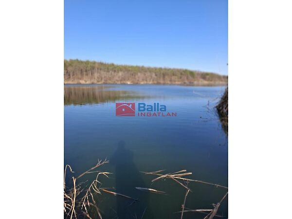 Gomba Horgásztó, Gomba képe