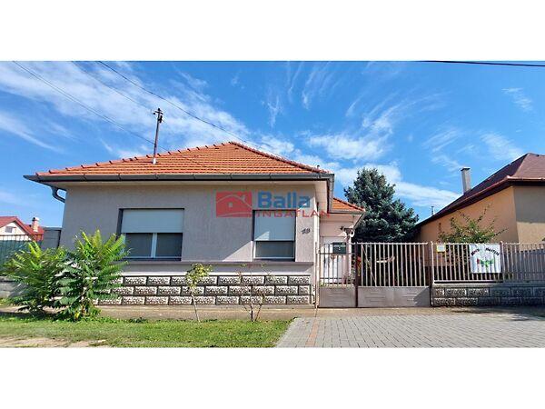 Vecsés, Vecsés képe