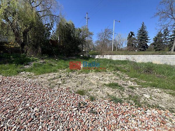 Gyík, Szentendre képe