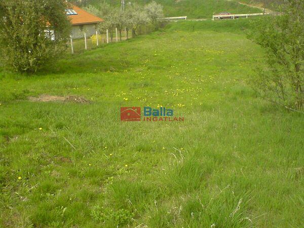 Széchenyi, Valkó képe