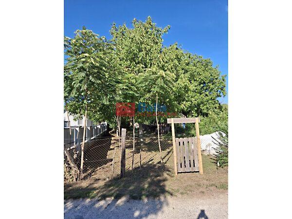 Budapest, XVI. kerület képe