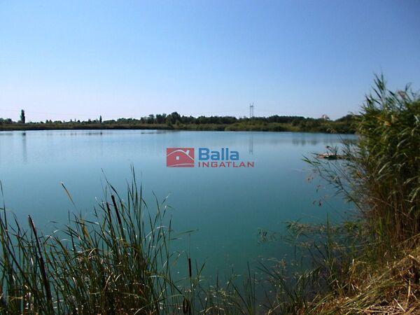 Robinson park, Délegyháza képe