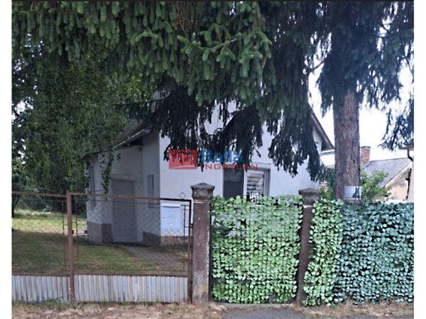 Petőfi, Beleg képe