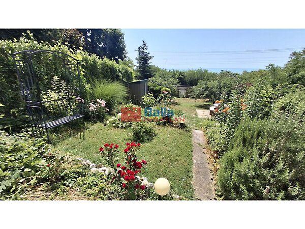 Panorámás, Balatonkenese képe