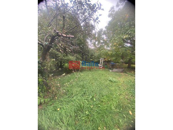 Pázmány Péter, Budapest, XV. kerület képe