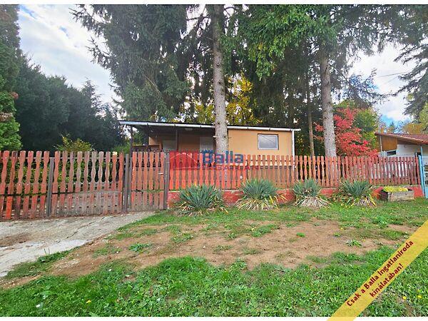 Juhász Gyula, Bánk képe