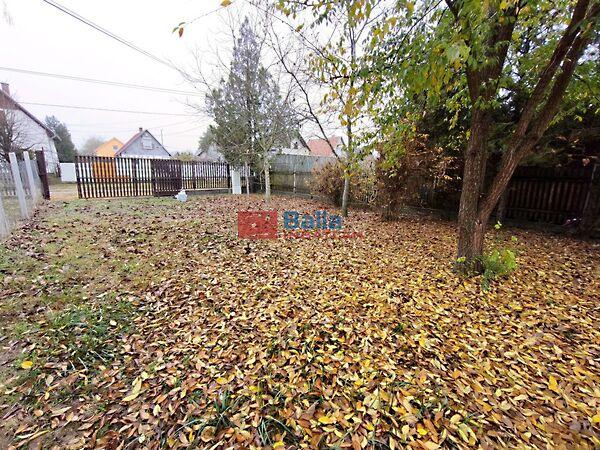 Strand, Tóalmás képe