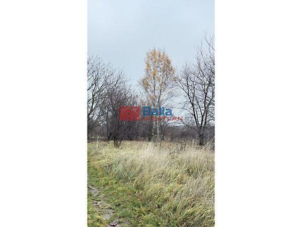 Kopolya, Budapest, XVII. kerület képe