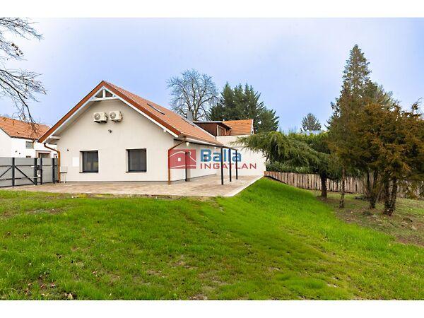 Móricz Zsigmond, Leányfalu képe