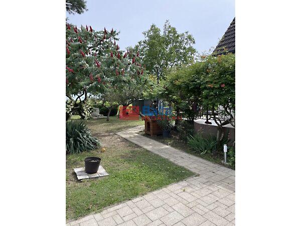 Géza fejedelem, Gárdony képe