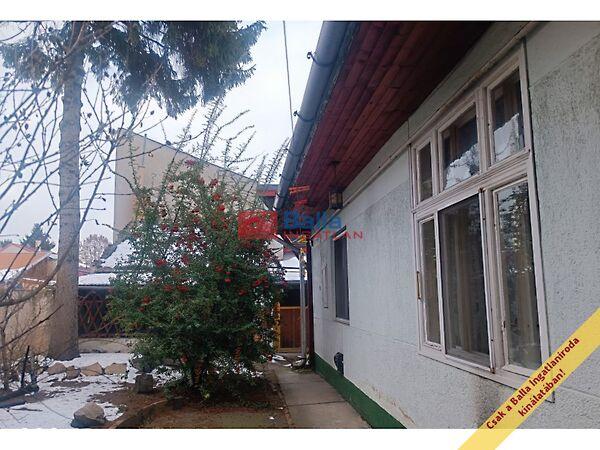 Lázár, Budapest, XX. kerület képe