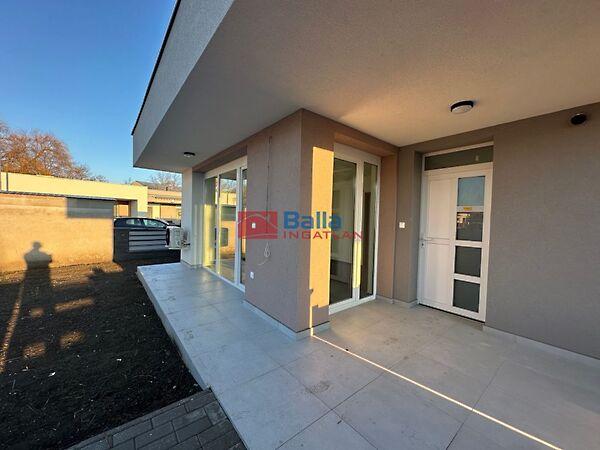 Géza fejedelem, Hatvan képe