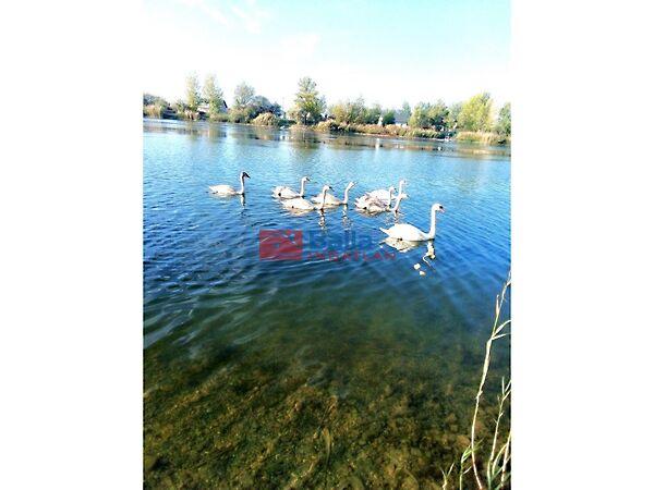 Bányász, Délegyháza képe