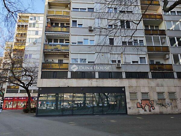 Petőfi Sándor, Kecskemét képe