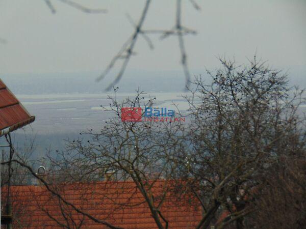 Nefelejcs, Pákozd képe