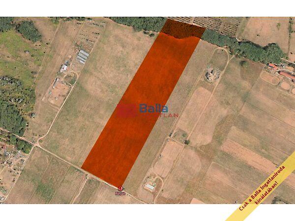 Fürj, Őrbottyán képe