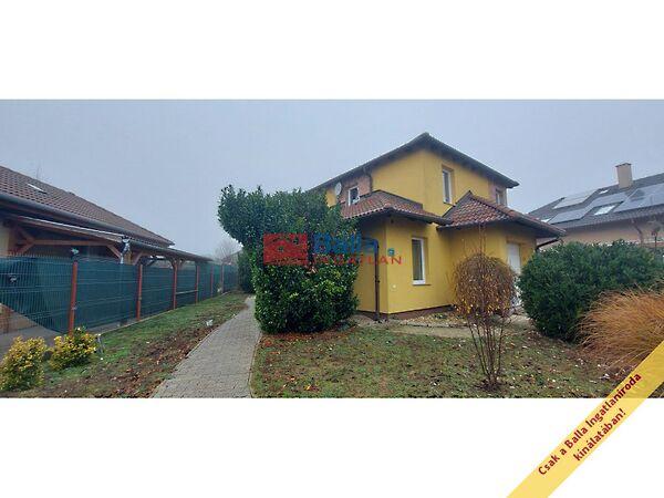 Kökörcsin, Páty képe