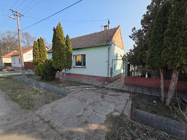 Bori Mihály, Szeged képe