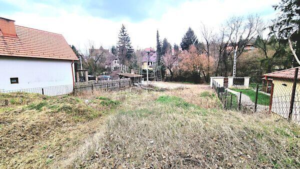 Mogyoró, Csobánka képe