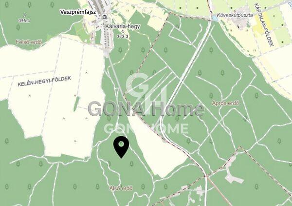 Veszprémfajsz képe