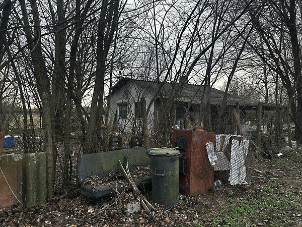 Szüret, Debrecen képe