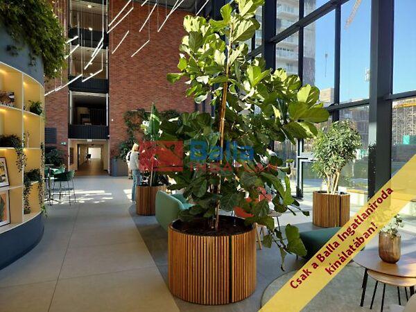 Vágóhíd, Budapest, IX. kerület képe