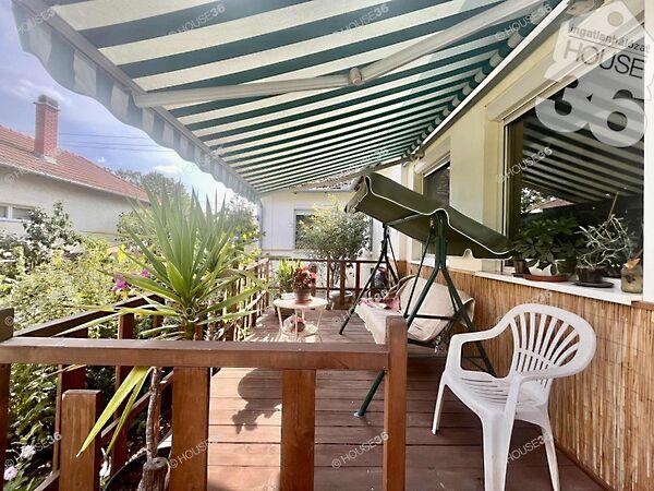 Hunyadi János, Tiszaalpár képe