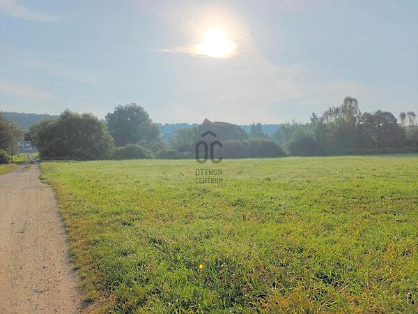 Kehidakustány képe