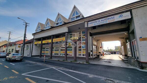 Móri, Székesfehérvár képe