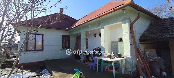 Tápiószecső képe