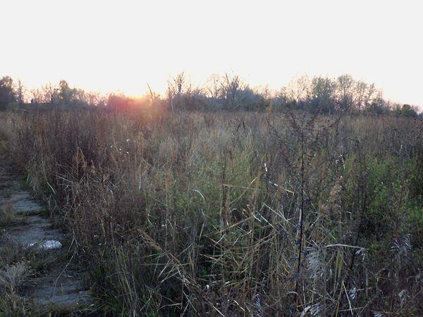 Budapest, XXIII. kerület 2. képe