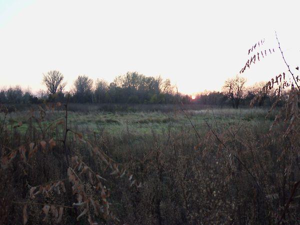 Budapest, XXIII. kerület 3. képe