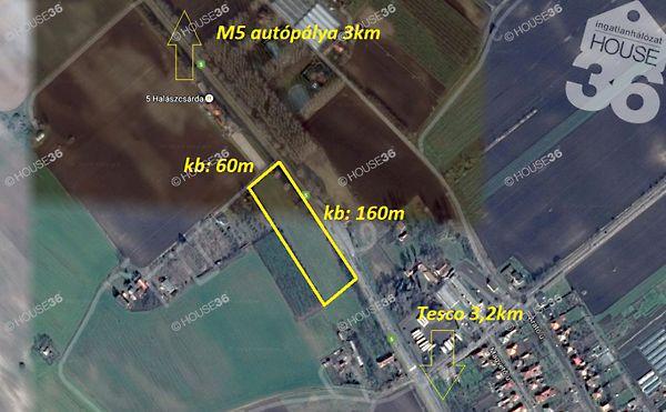 Budai, Kecskemét 2. képe